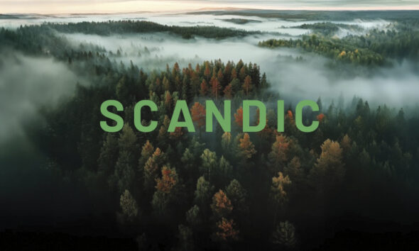 Scandic